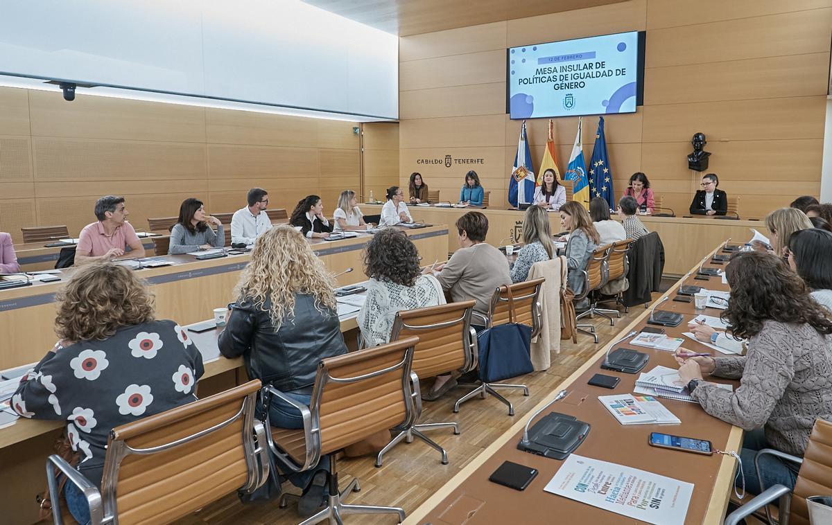 Imagen de la reciente Mesa Insular de Igualdad