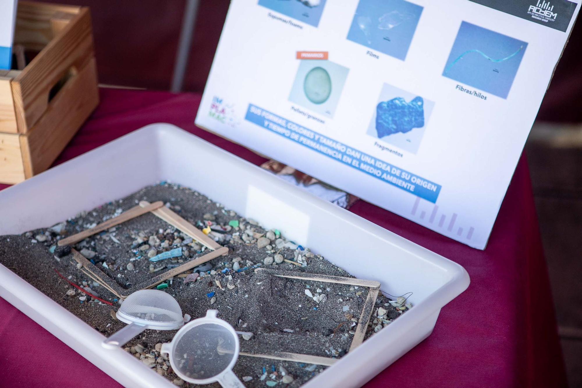 Feria de la Ciencia de La Orotava