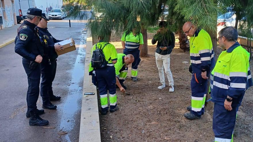 Burjassot ya multa por dejar la caca en la calle