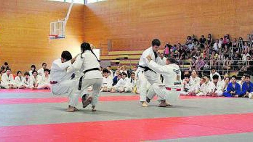 Prop de tres-cents infants participen en el Festival de Final de Curs de Judo d’Esport7 i Judo Moià | ARXIU PARTICULAR