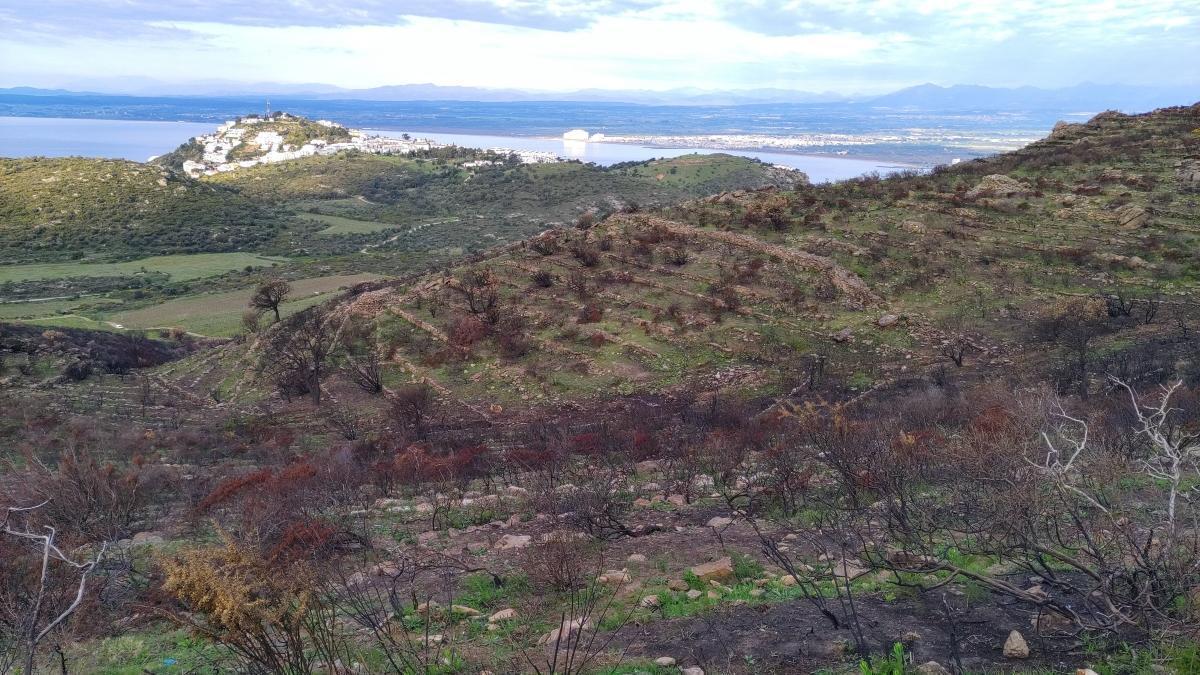 Un paisatge de l'Alt Empordà després d'un incendi.