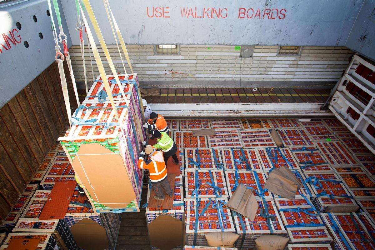 Varios estibadores cargan un buque de naranjas