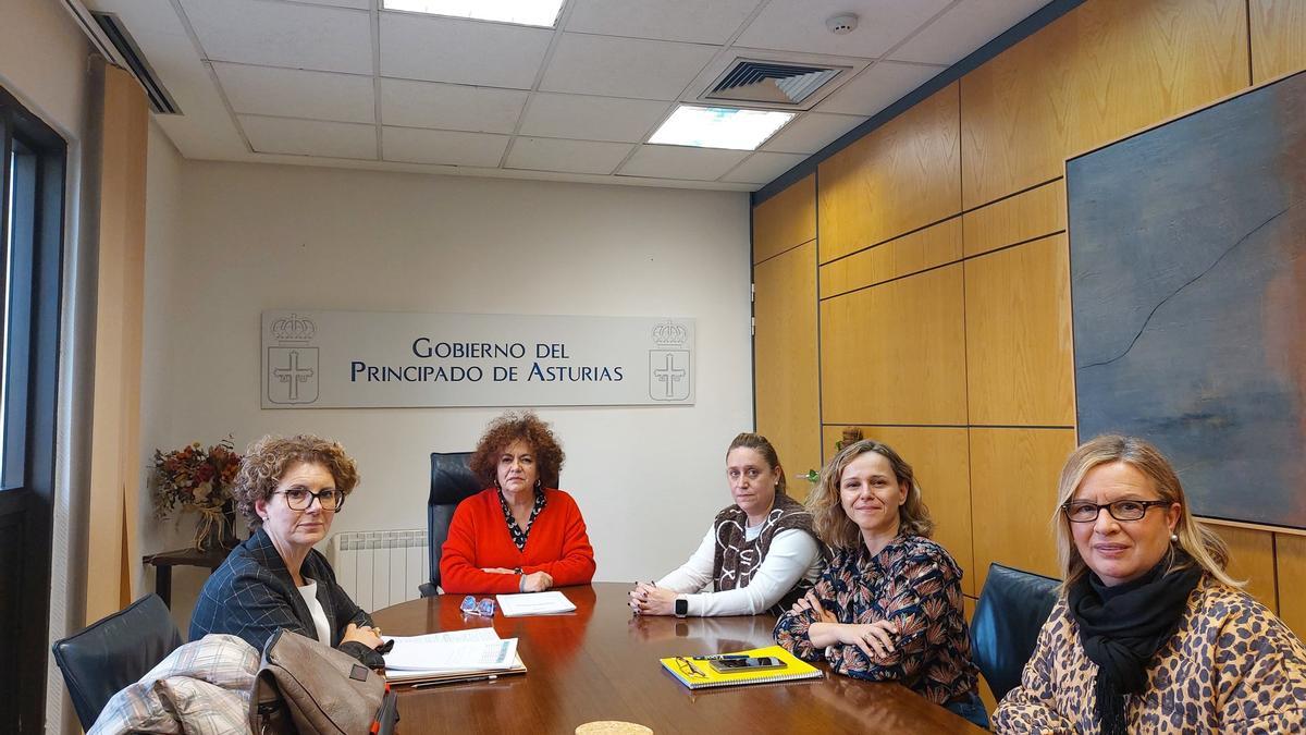 Un momento de la reunión, celebrada en Oviedo.