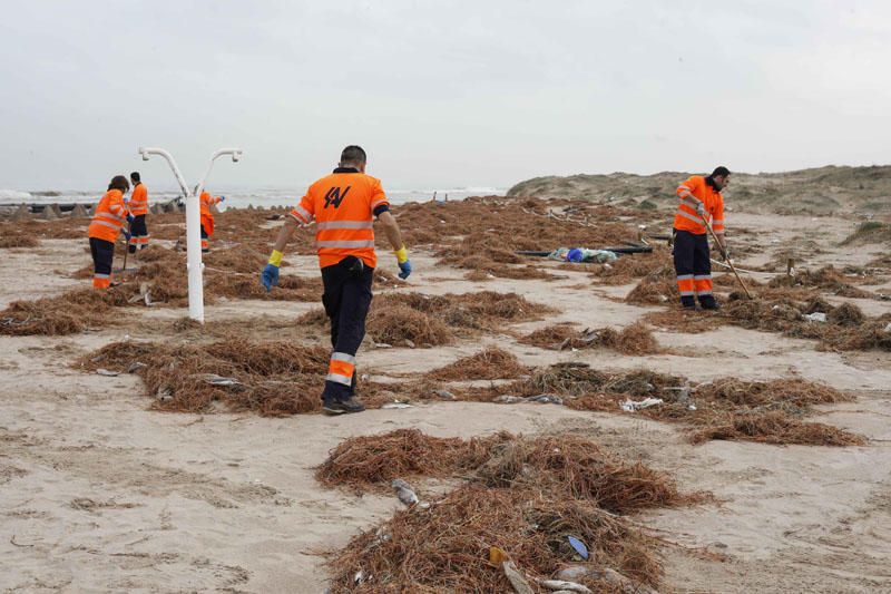 Desperfectos del temporal en las playas del Perellonet y El Saler.