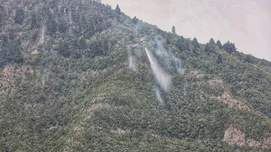 Incendio en el Norte de Tenerife (25/07/22)