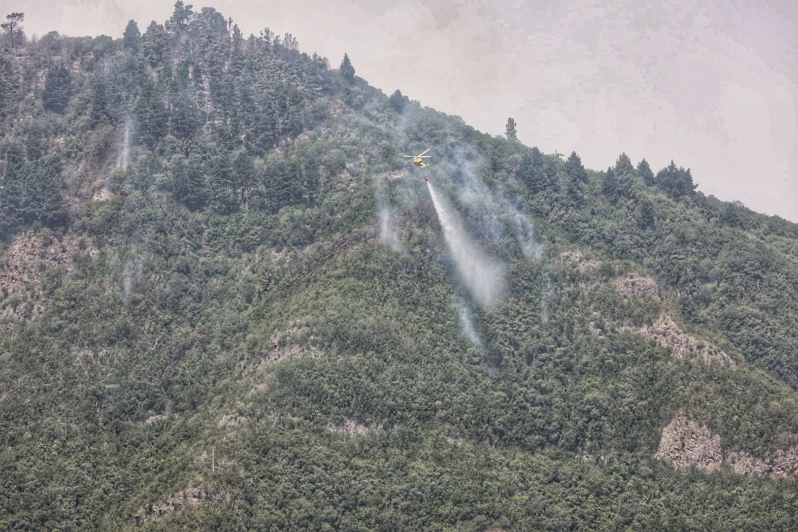 Incendio en el Norte de Tenerife (25/07/22)