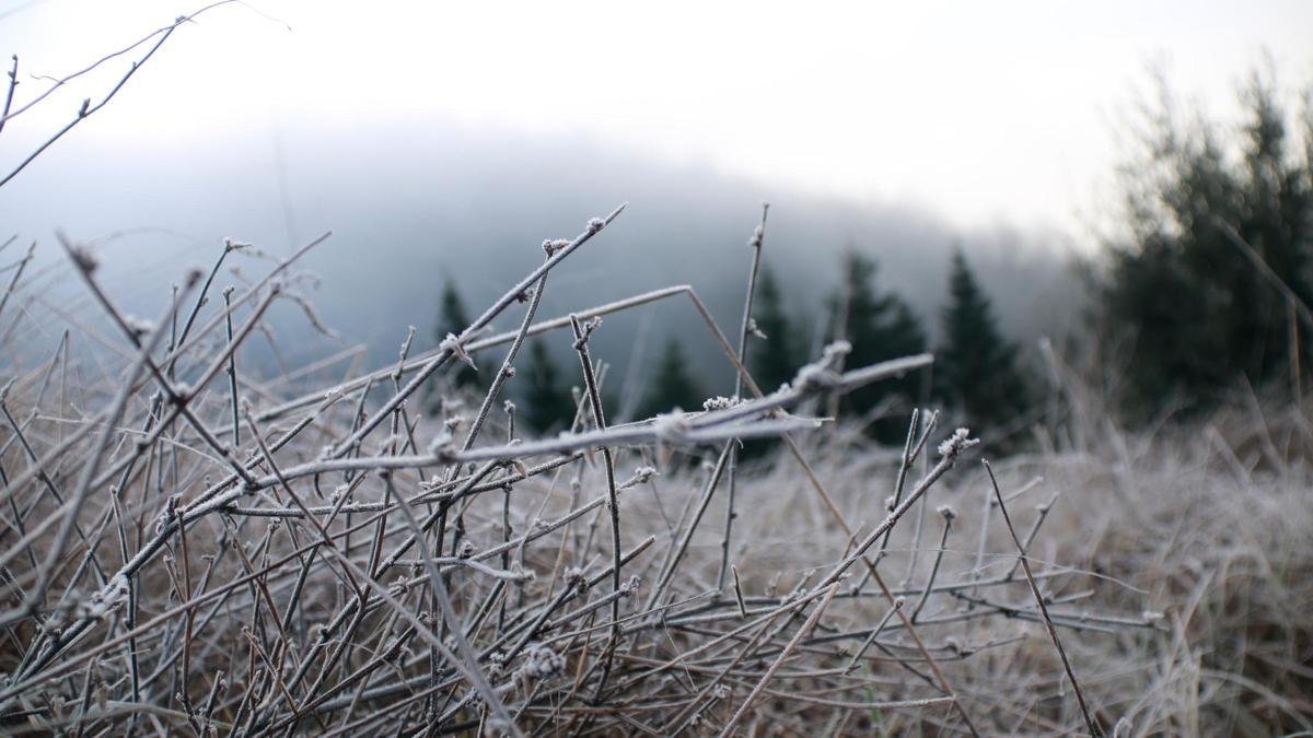 Un paisatge glaçat a Espinelves.