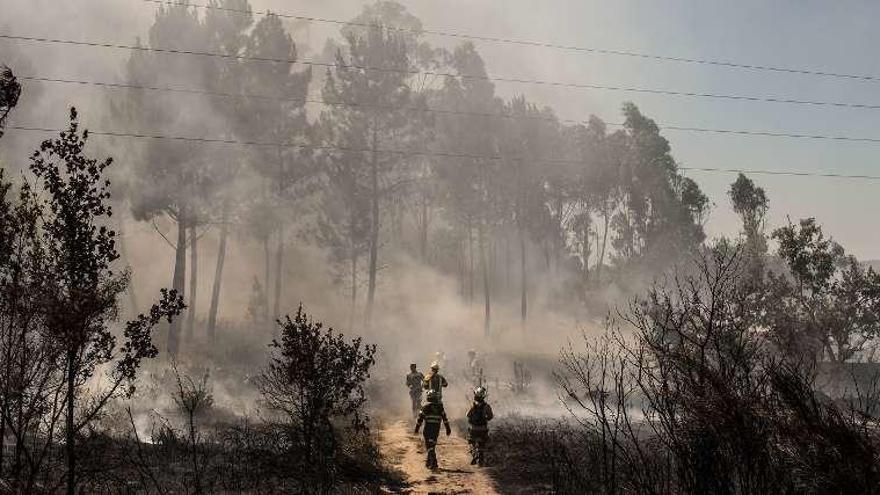 Efectivos de extinción en el incendio de Maside. // Brais Lorenzo