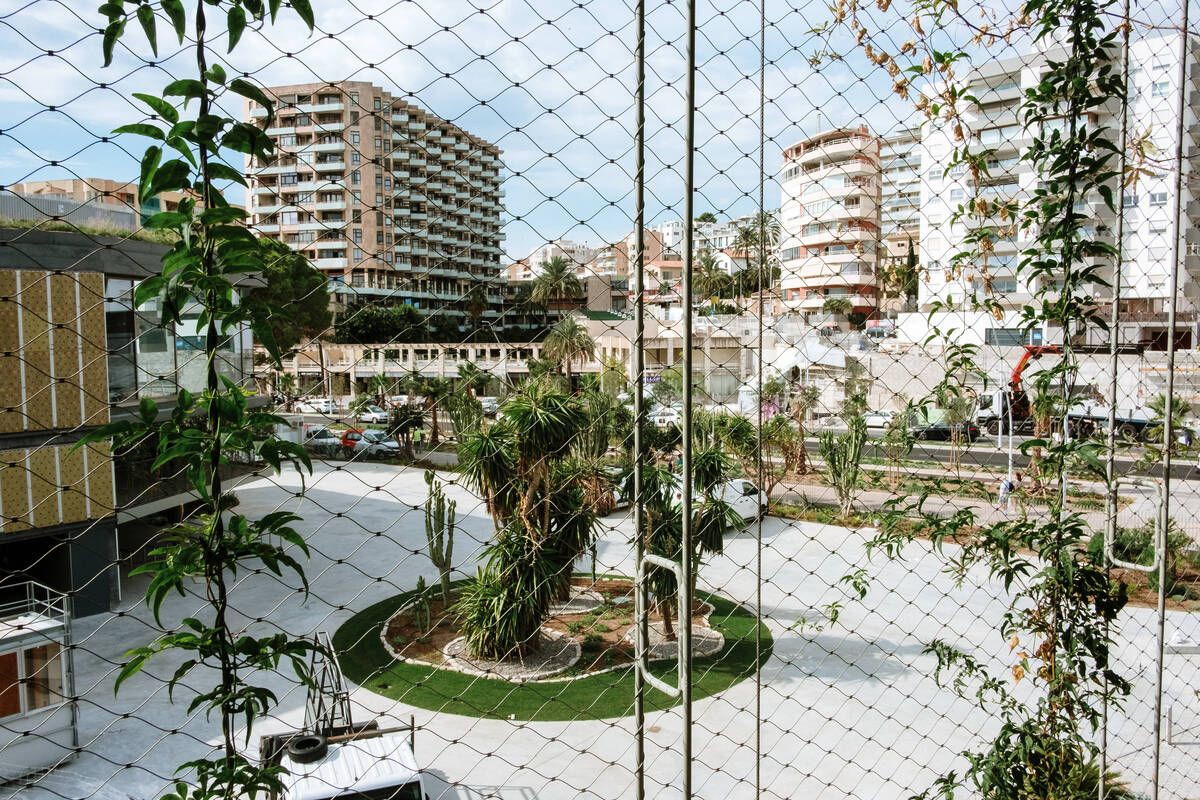 251010DMA_Bernardo A (225269569).jpg