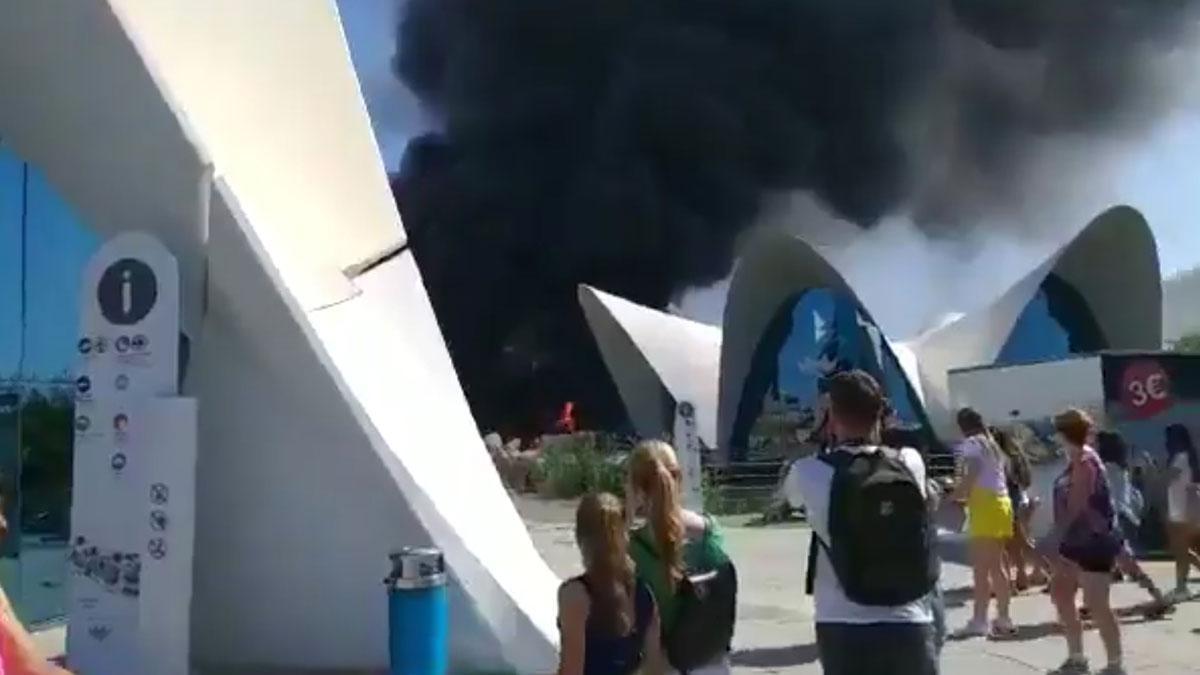 Incendio en el Oceanogràfic de Valencia.