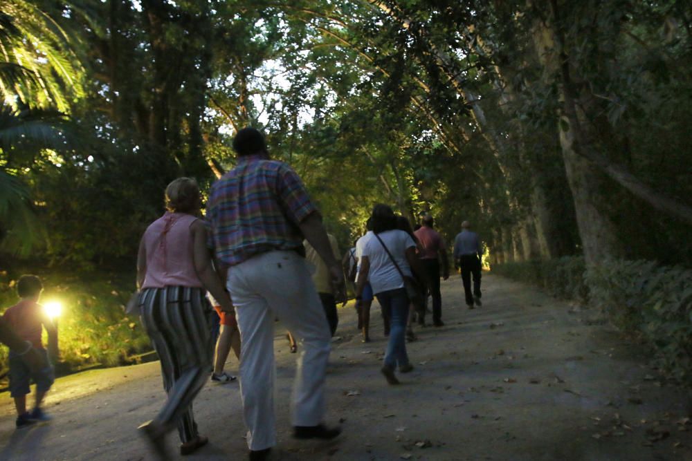 Visita nocturna a los Jardines de la Concepción