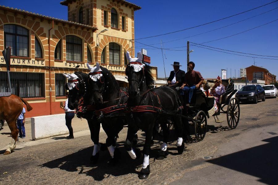 Feria del caballo en Fuentesaúco