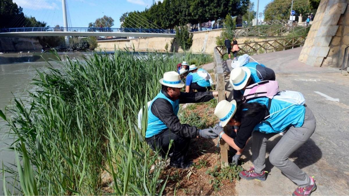 Voluntarios participantes en el Reto Río Limpio
