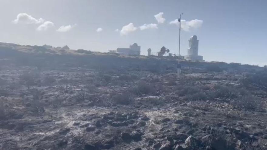 La desoladora imagen que deja el incendio en las cumbres de Tenerife