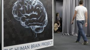 El cervell envelleix per culpa del vaivé de 13 proteïnes