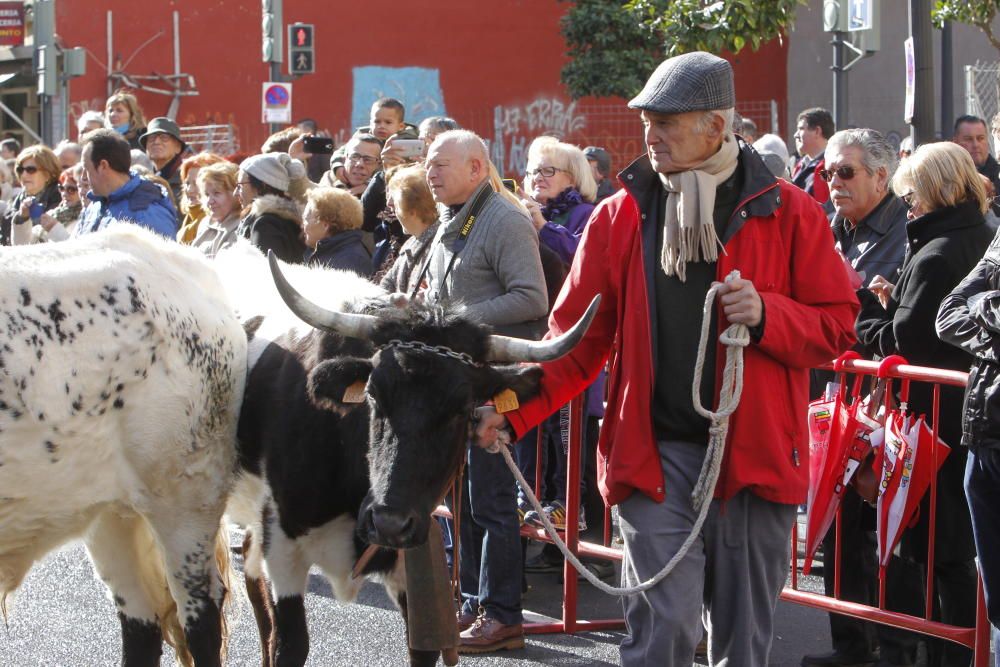 Sant Antoni en Valencia 2017