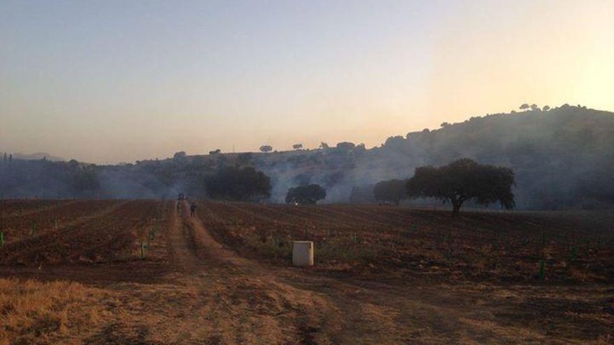 Columna de humo por el fuego en Archidona.