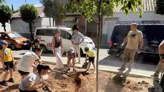 Cabra refuerza su patrimonio verde con la plantación de 13 nuevos árboles por el Día Mundial del Medio Ambiente