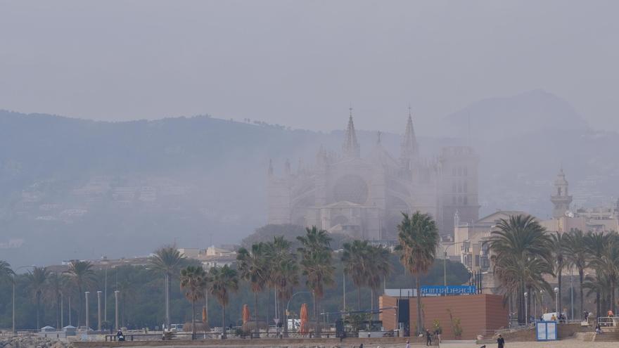 Así se ha visto el gran banco de niebla que ha cubierto la bahía de Palma y la Catedral durante dos horas