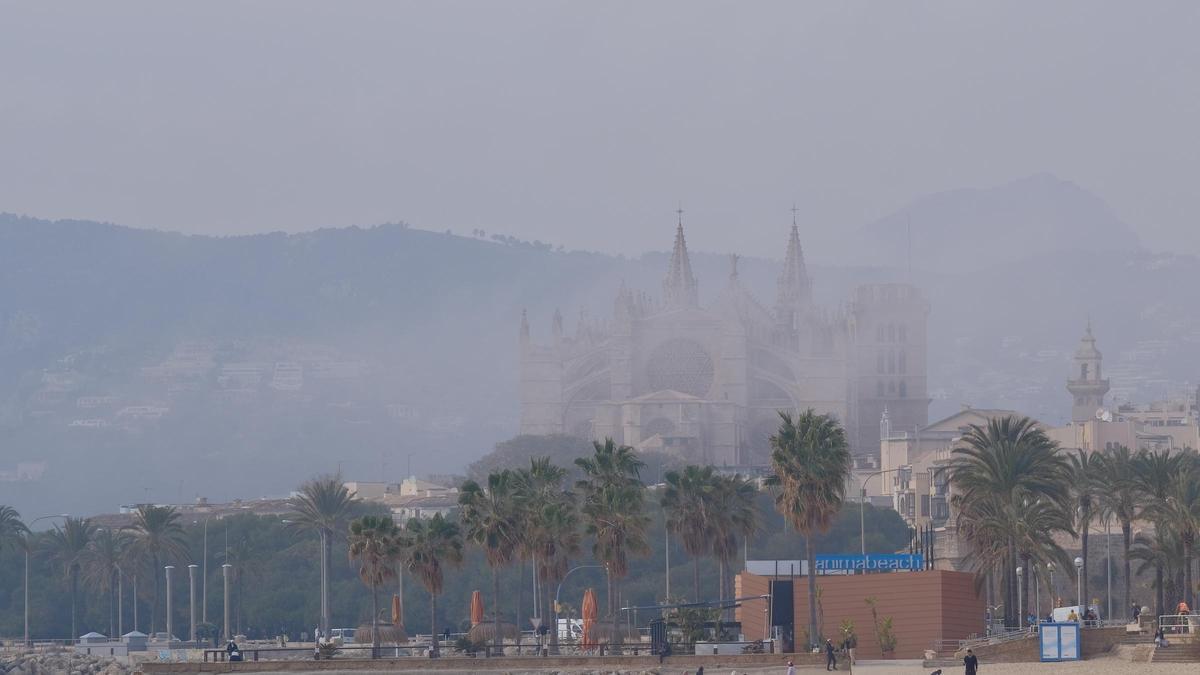 El tiempo en Mallorca: Las fotos de la niebla que ha cubierto la bahía de Palma y la Catedral