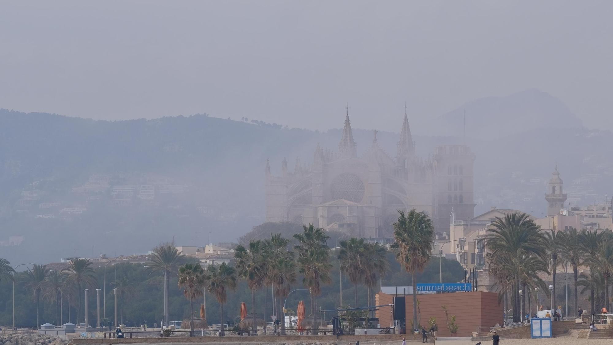El tiempo en Mallorca: Así se ha visto la niebla que ha cubierto la bahía la primera línea de Palma