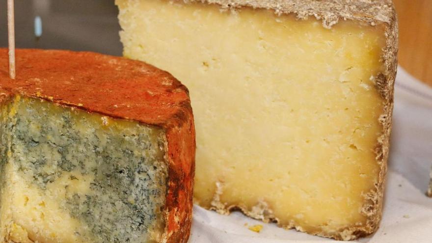 Retiran un queso de oveja fabricado en el País Vasco infectado con listeria