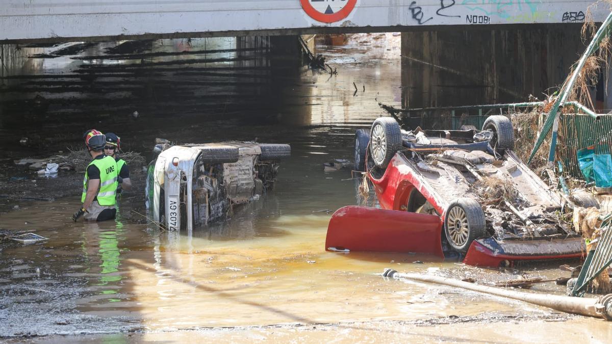 Trabajos de limpieza en Aldaia