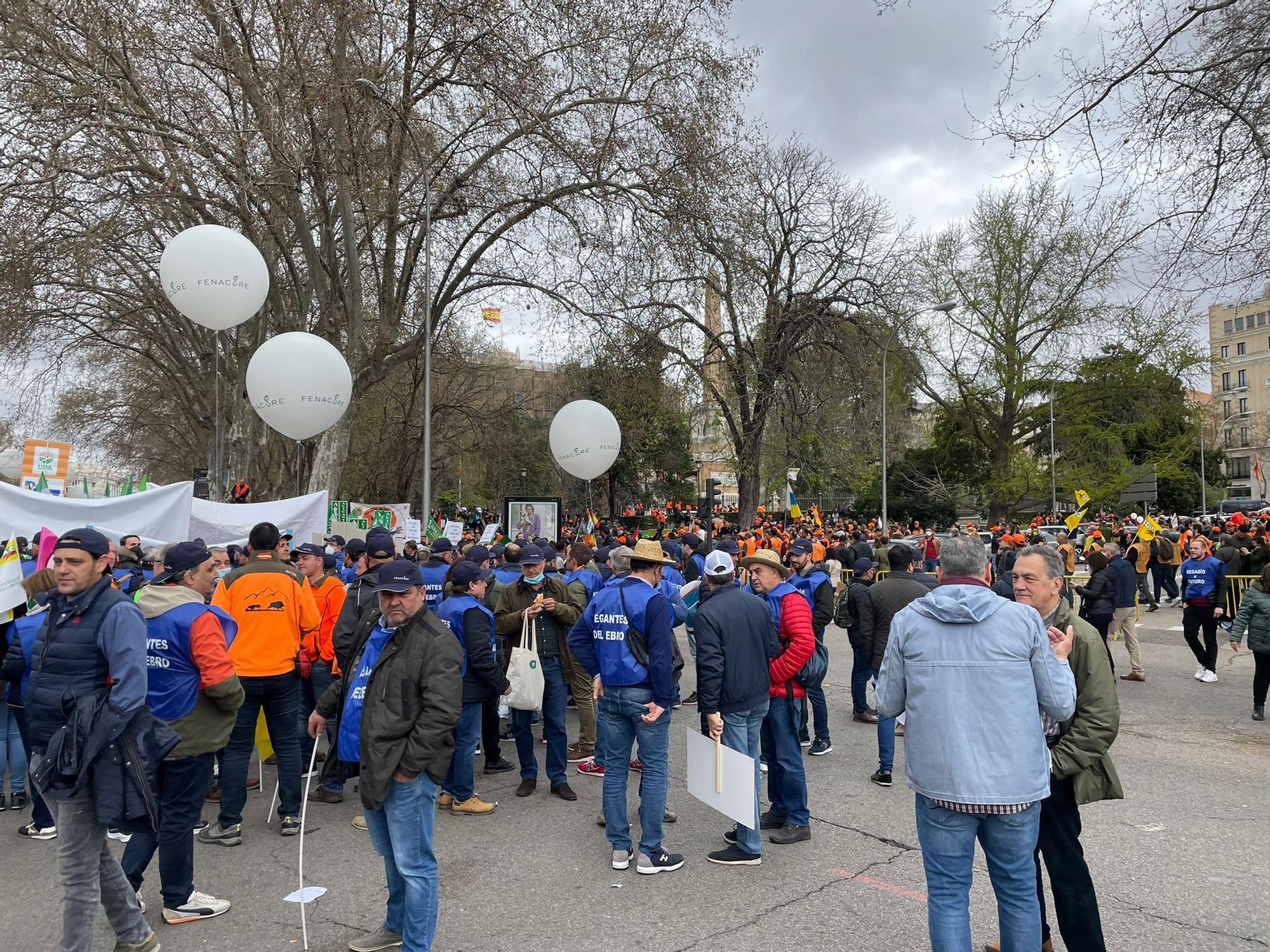 Arranca la manifestación en defensa del campo en Madrid con miles de agricultores y regantes de la provincia