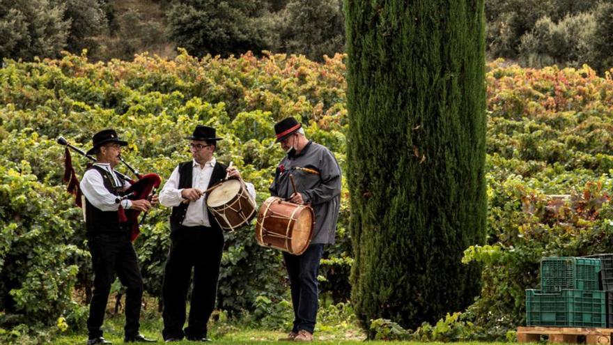 Músicos amenizan una de las fiestas del Magosto de Valbusenda. | Cedida