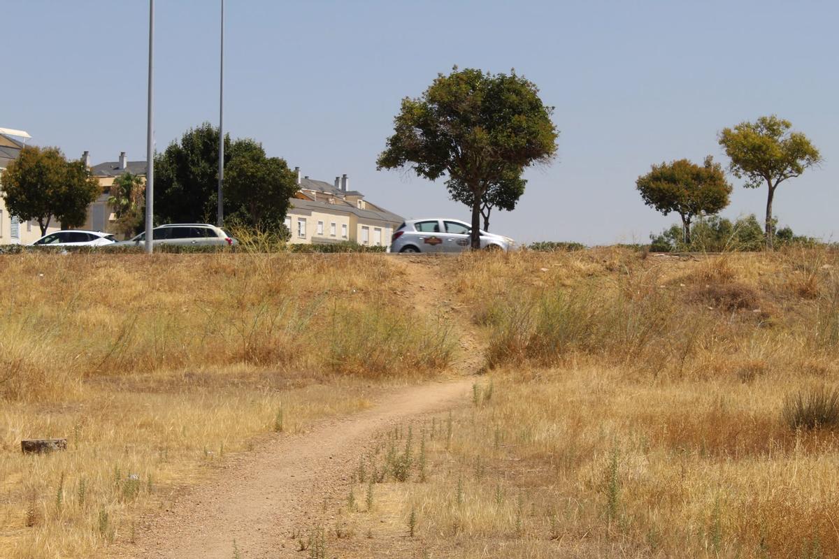 Camino que da acceso desde el puente Real al tanatorio.