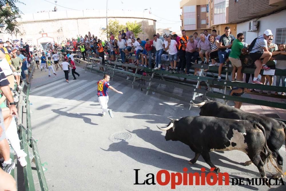 Segundo encierro de Calasparra