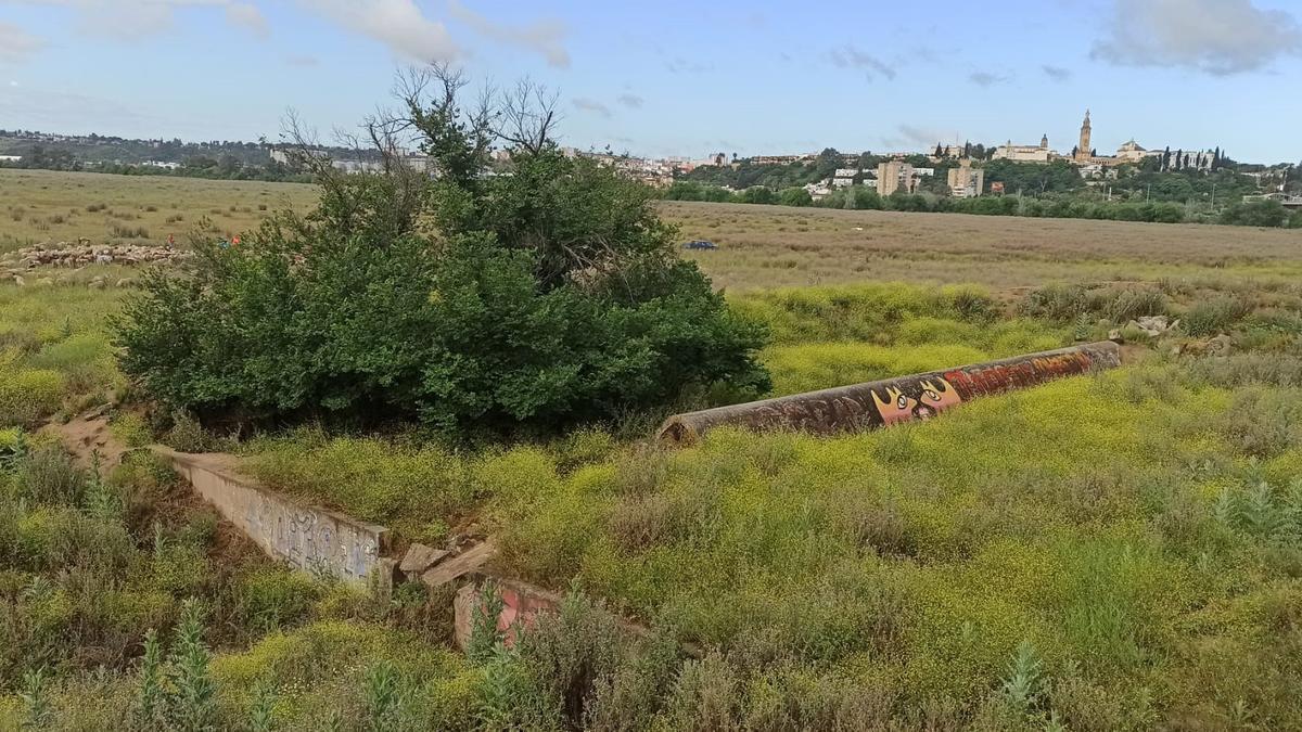 Imagen de la dehesa de Tablada con el casco urbano de San Juan al fondo.