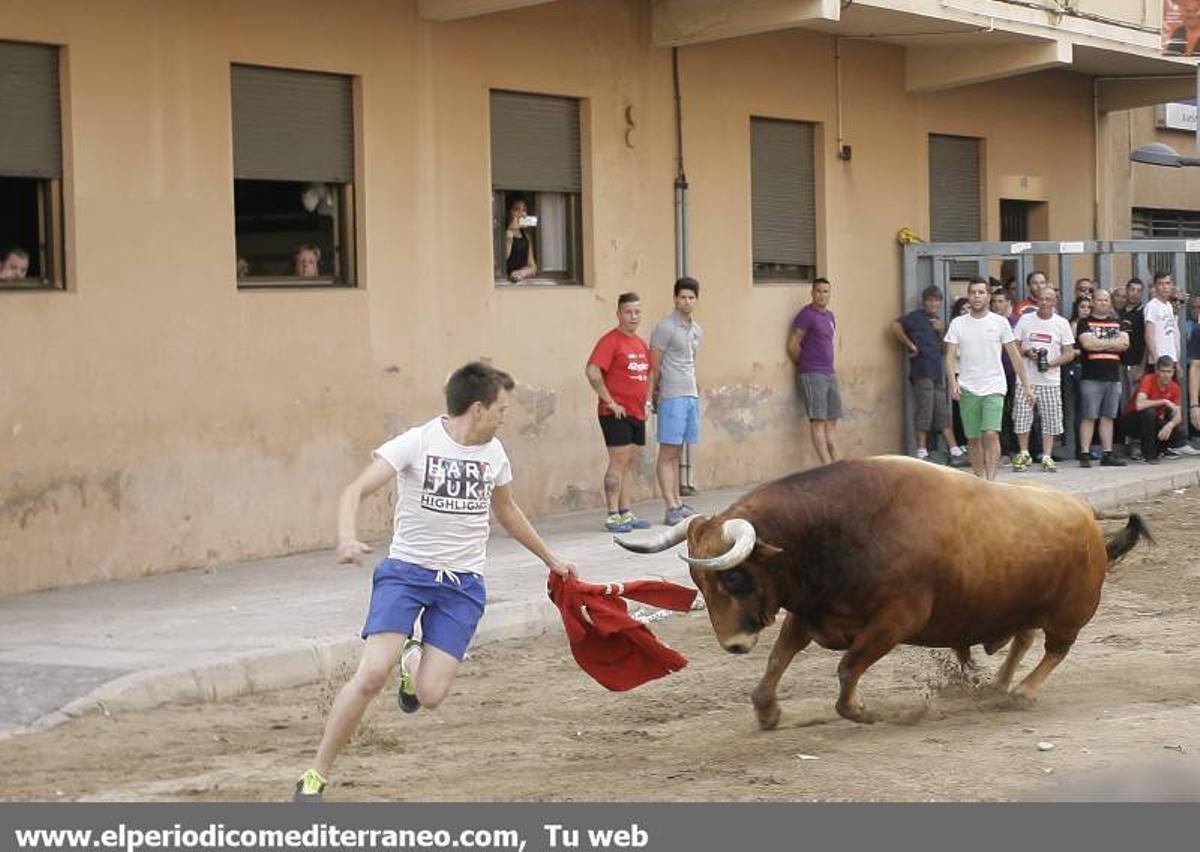 GALERÍA DE FOTOS -- El 'bou per la vila' suma un nuevo corneado