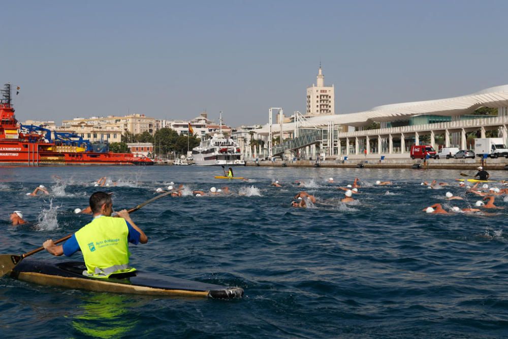 Este domingo se ha celebrado la 60ª edición de la Travesía a Nado del Puerto de Málaga, en la que han participado casi medio millar de nadadores