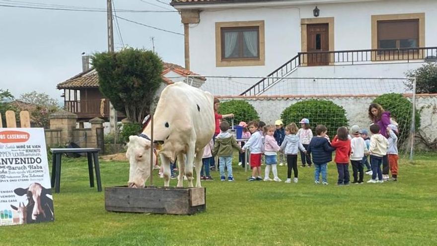 Juan Robledo, de Seloriu, designado «Ganaderu del añu» de Villaviciosa