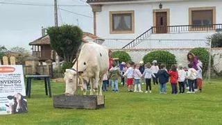 Juan Robledo, de Seloriu, designado «Ganaderu del añu» de Villaviciosa