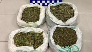 Dos detinguts a Lloret de Mar enxampades amb un quilo i mig de marihuana