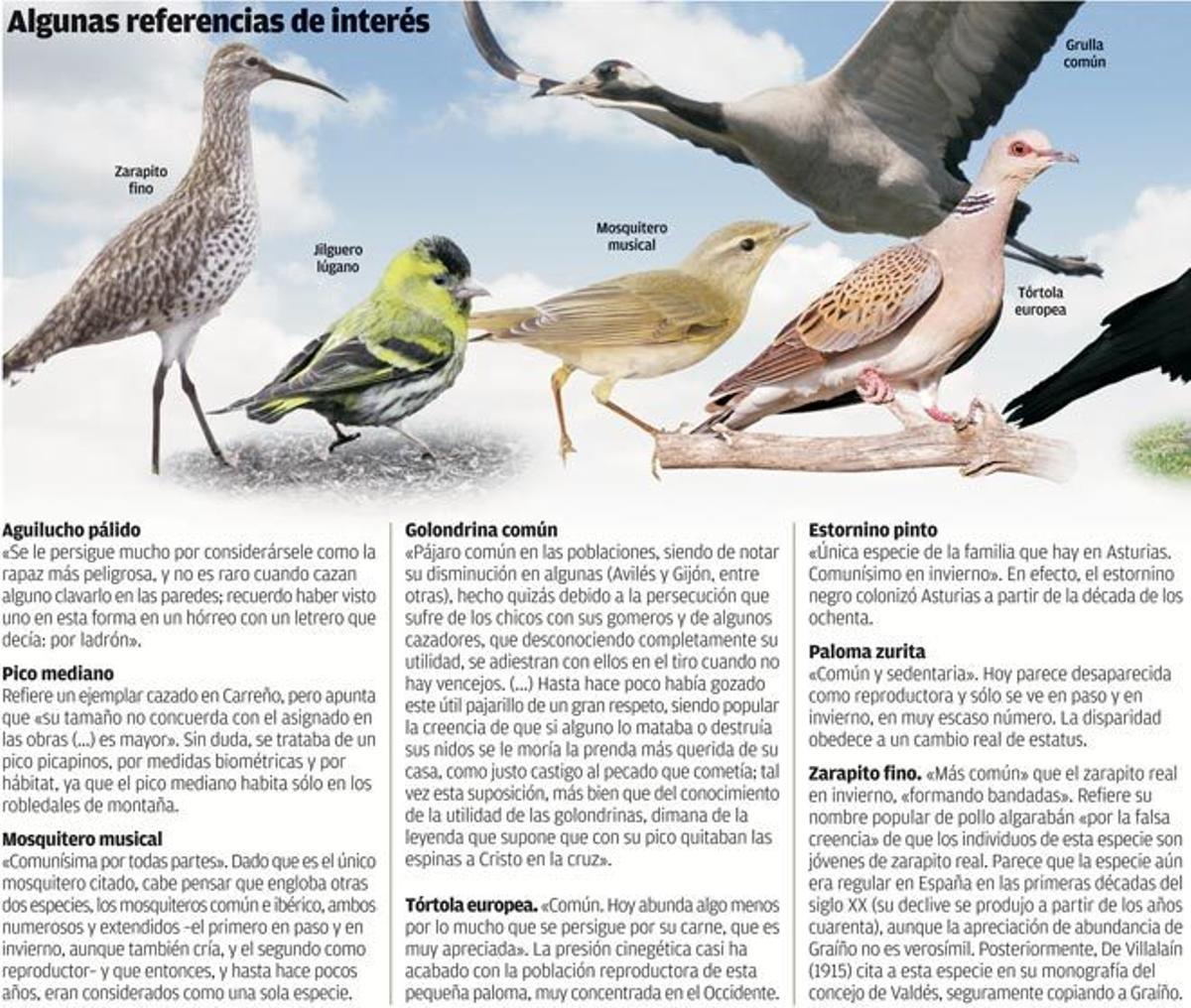 La ornitología asturiana, centenaria