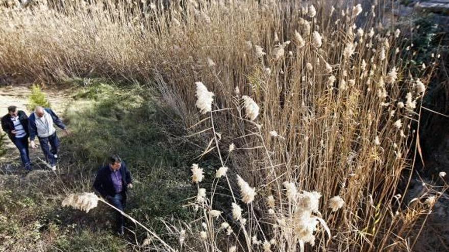 La Fundación Limne instalará refugios  para murciélagos en  el río Tarafa de Aspe