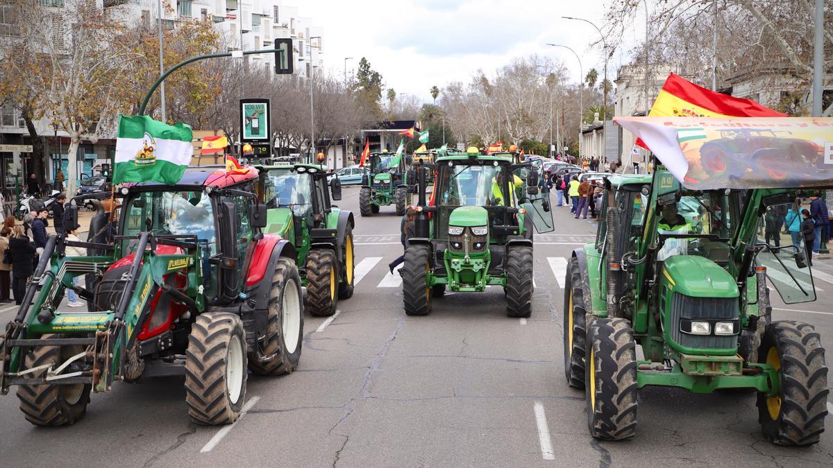 Tractorada por una de las avenidas de la capital cordobesa en una protesta de agricultores.