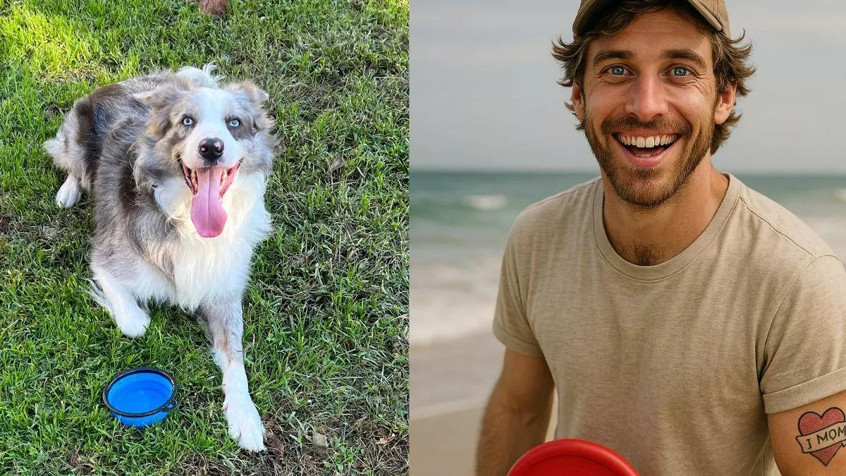 Cómo sería tu mascota si fuera humano: así podrás descubrirlo con ChatGPT