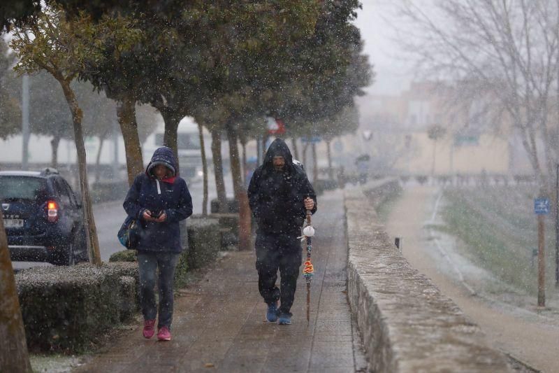 Nieve en Zamora