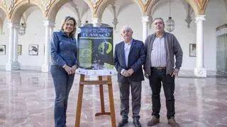 La Diputación de Córdoba colabora con la Peña Flamenca El Lucero de Montilla en un proyecto para promover el flamenco