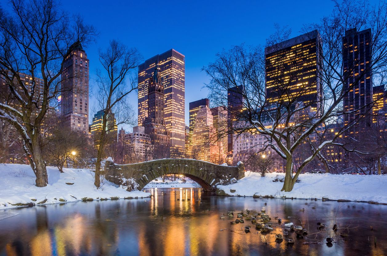 Estampa de Central Park de Nueva York en invierno