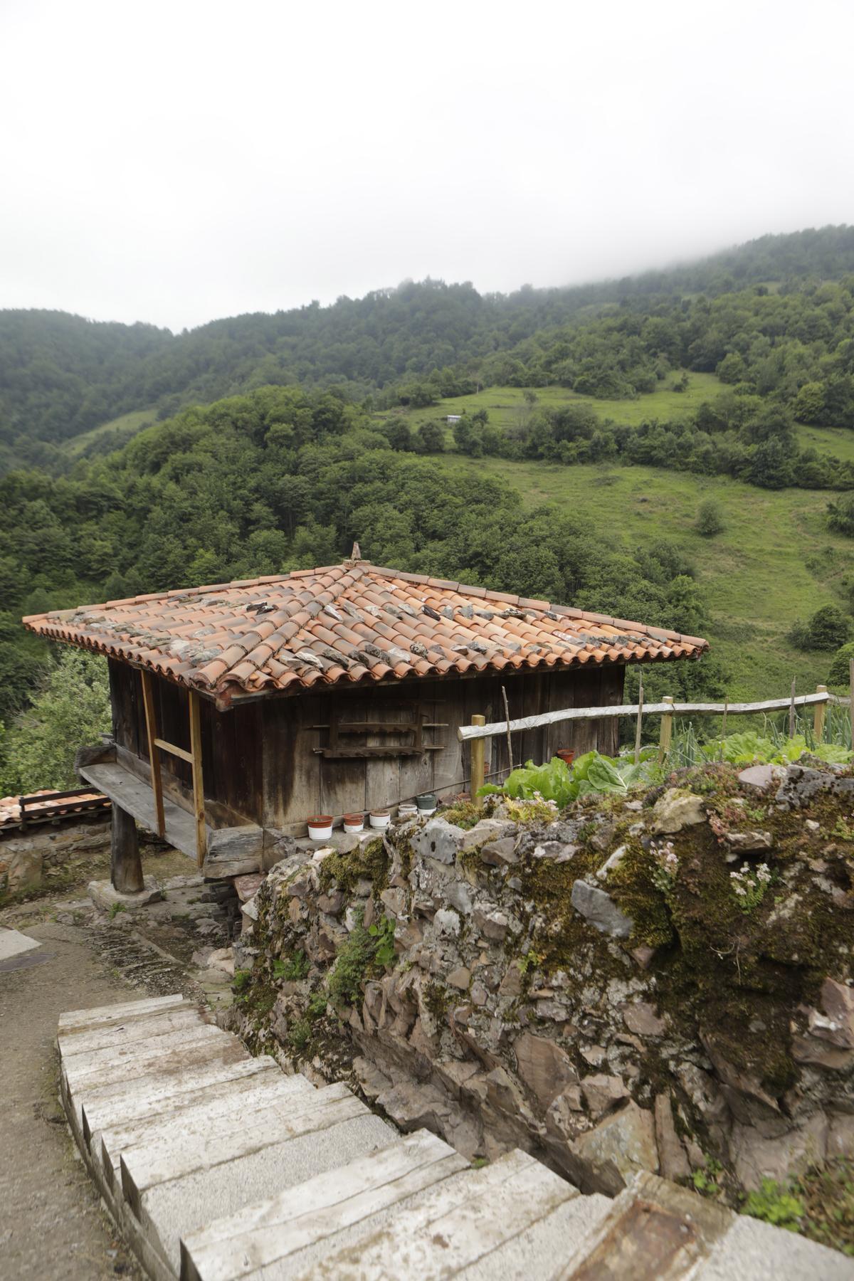 Bandujo, galería de fotos del pueblo más guapo de Asturias