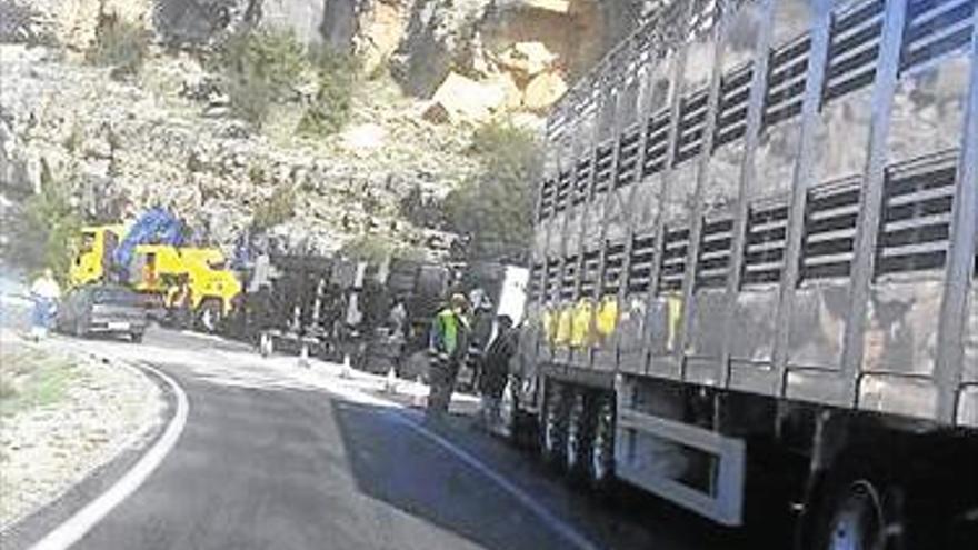 Un camión cargado de cerdos vuelca en Ares