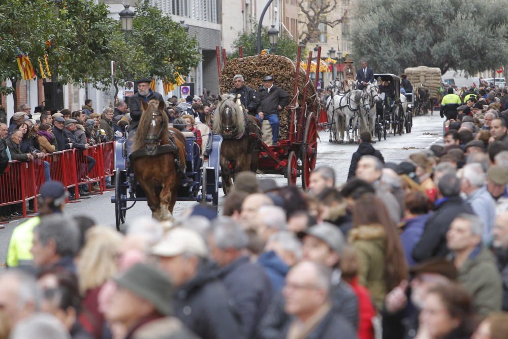 Sant Antoni en Valencia 2017