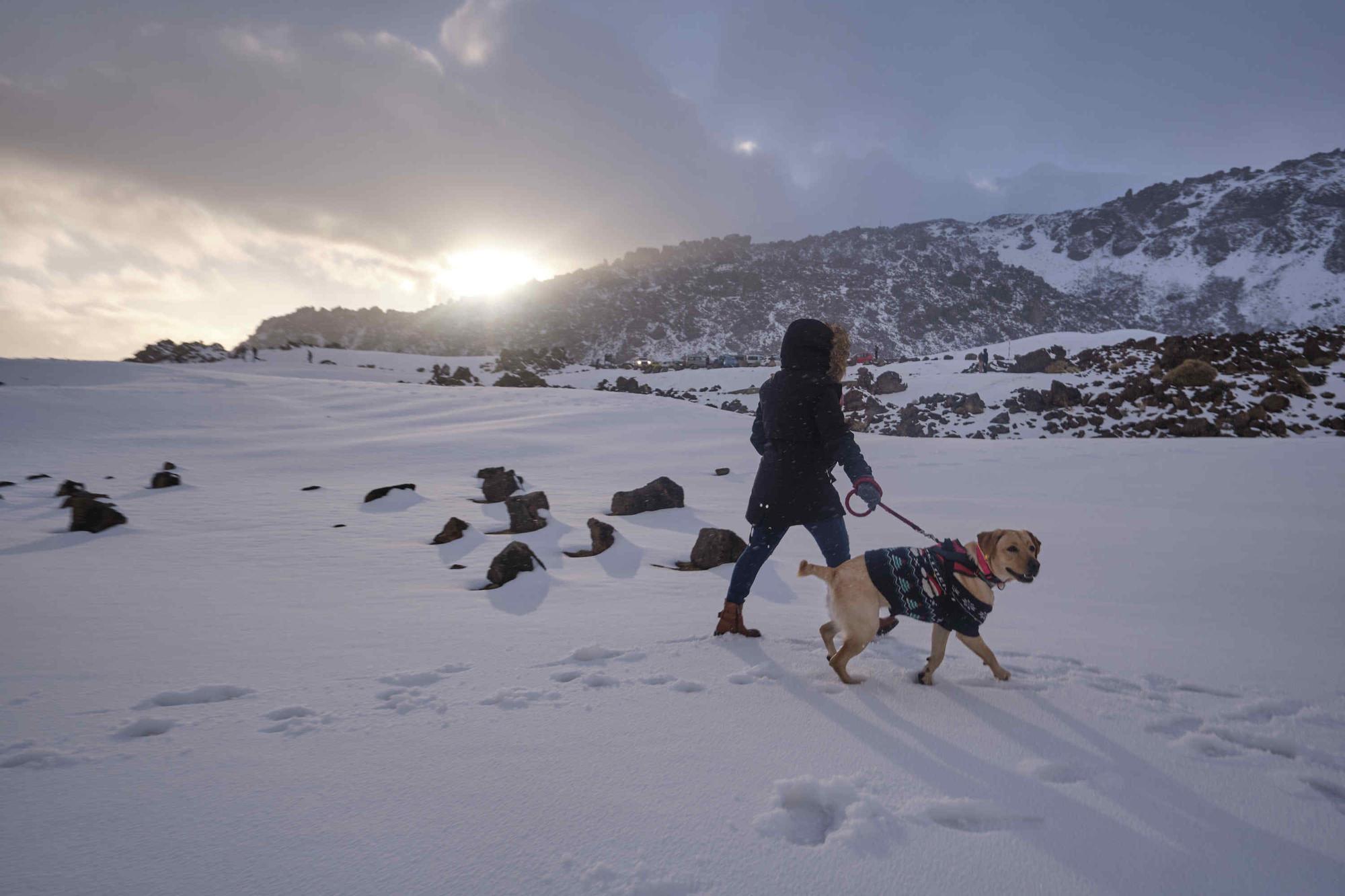 Nevada en el Teide