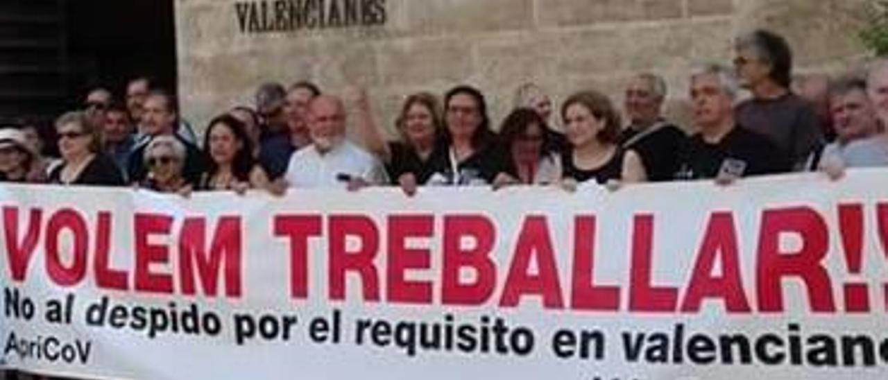 Profesores interinos a los que falta la capacitación en valenciano, ante el Palau.