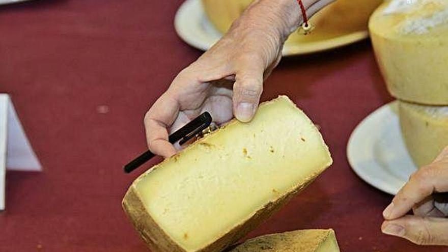 Los mejores especialistas del queso debaten sobre el producto en la Isla